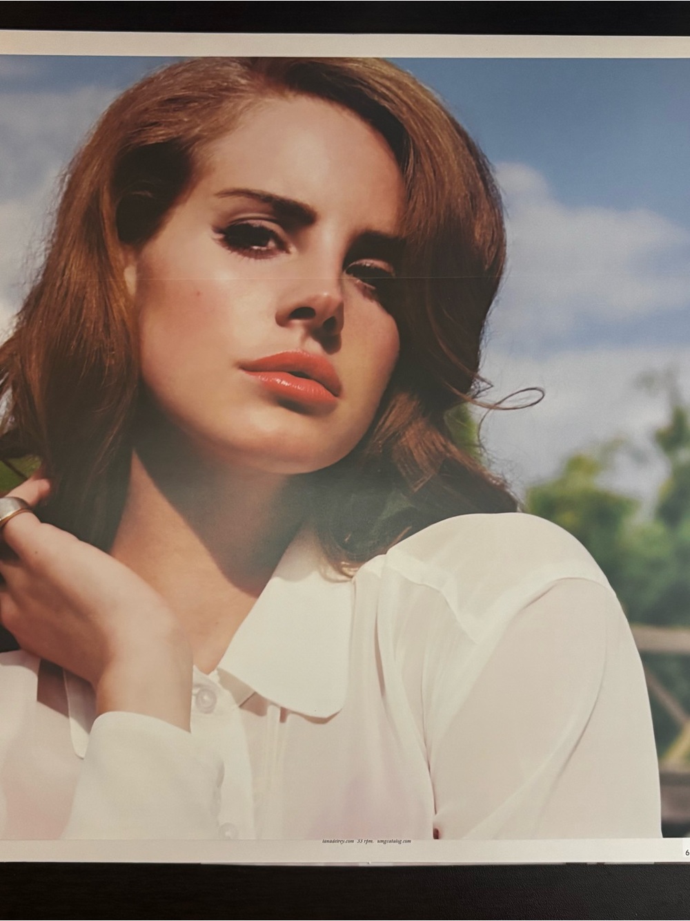Lana Del Rey Vinyl - Picture 4 of 4
